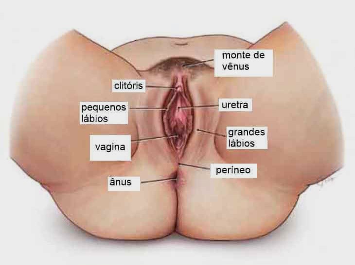 como fazer ela gozar